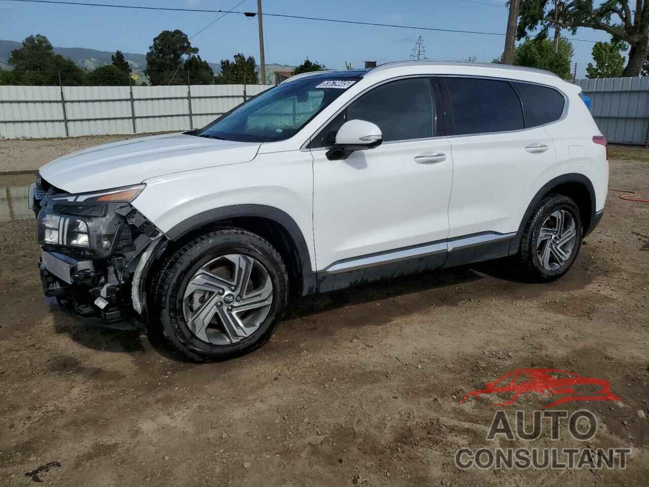 HYUNDAI SANTA FE 2023 - 5NMS34AJ2PH505630