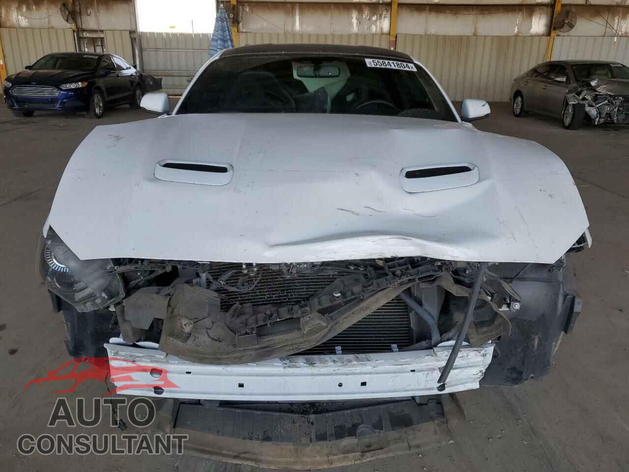 FORD MUSTANG 2019 - 1FA6P8CF3K5168084