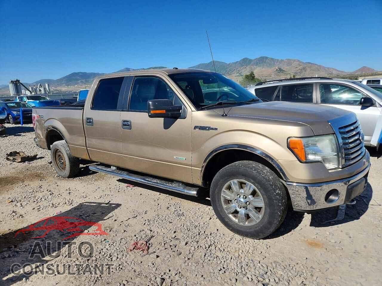 FORD F150 2011 - 1FTFW1ET5BFC60427