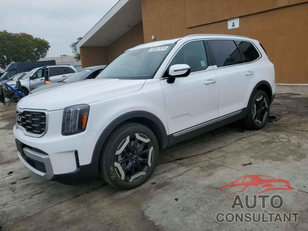 KIA TELLURIDE 2024 - 5XYP64GC7RG429454