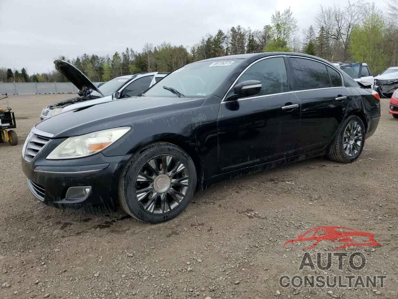 HYUNDAI GENESIS 2009 - KMHGC46E79U069382