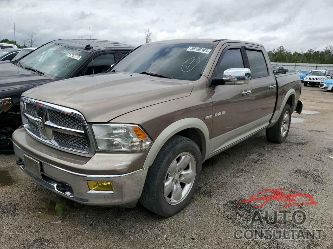 DODGE All Models 2009 - 1D3HB13T69S815353
