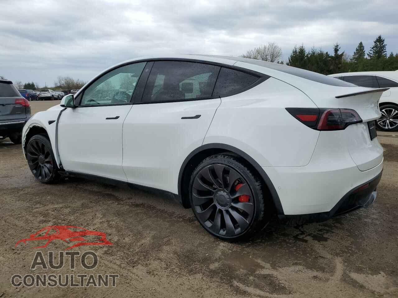 TESLA MODEL Y 2022 - 7SAYGDEF5NF444442