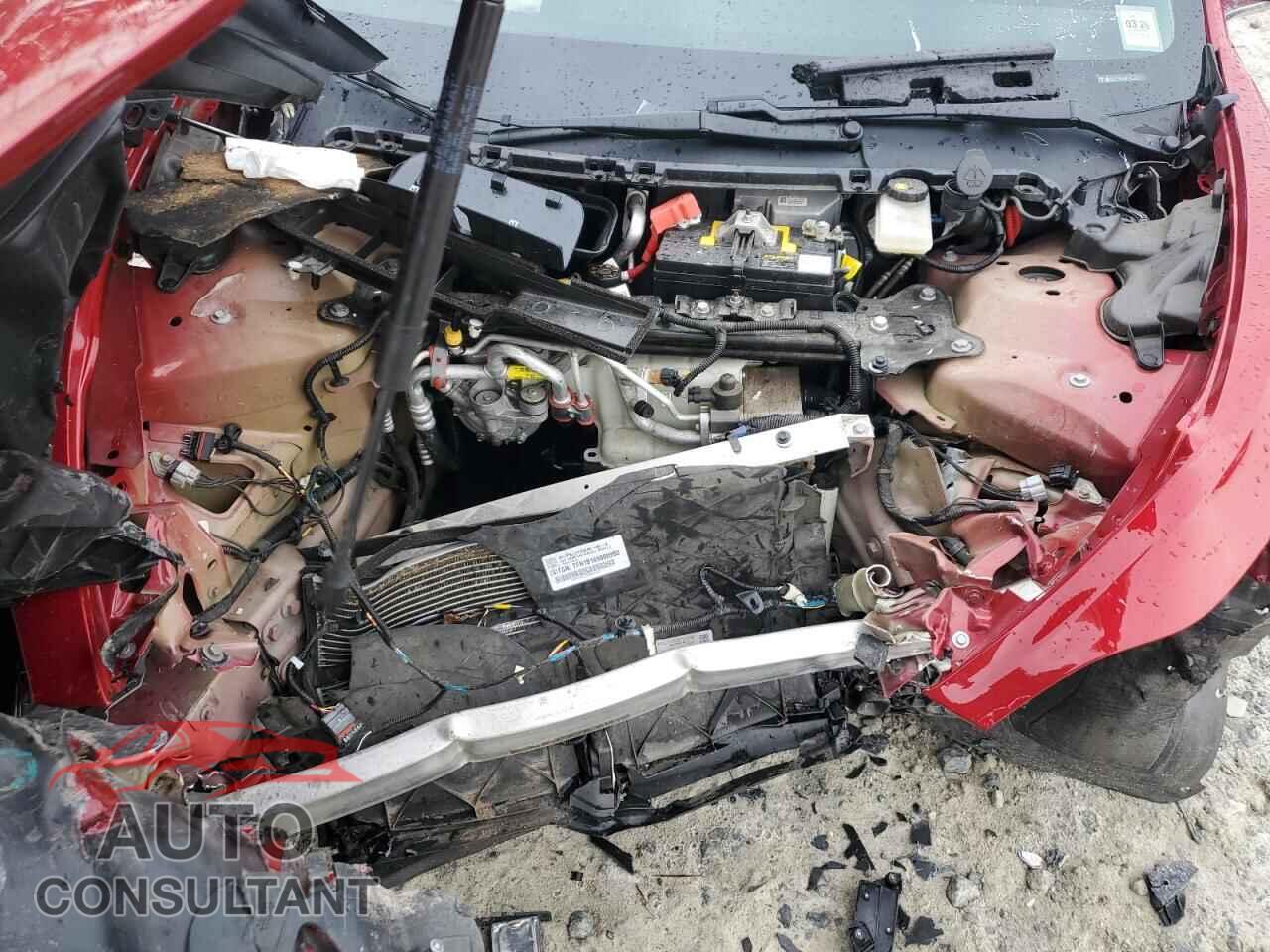 TESLA MODEL 3 2019 - 5YJ3E1EA1KF402118