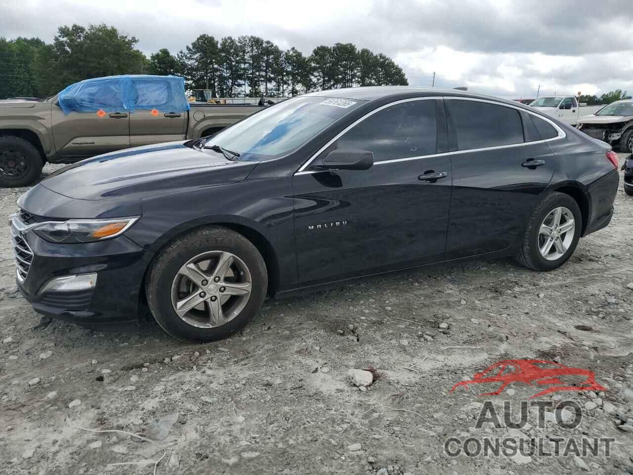 CHEVROLET MALIBU 2019 - 1G1ZB5ST7KF186635