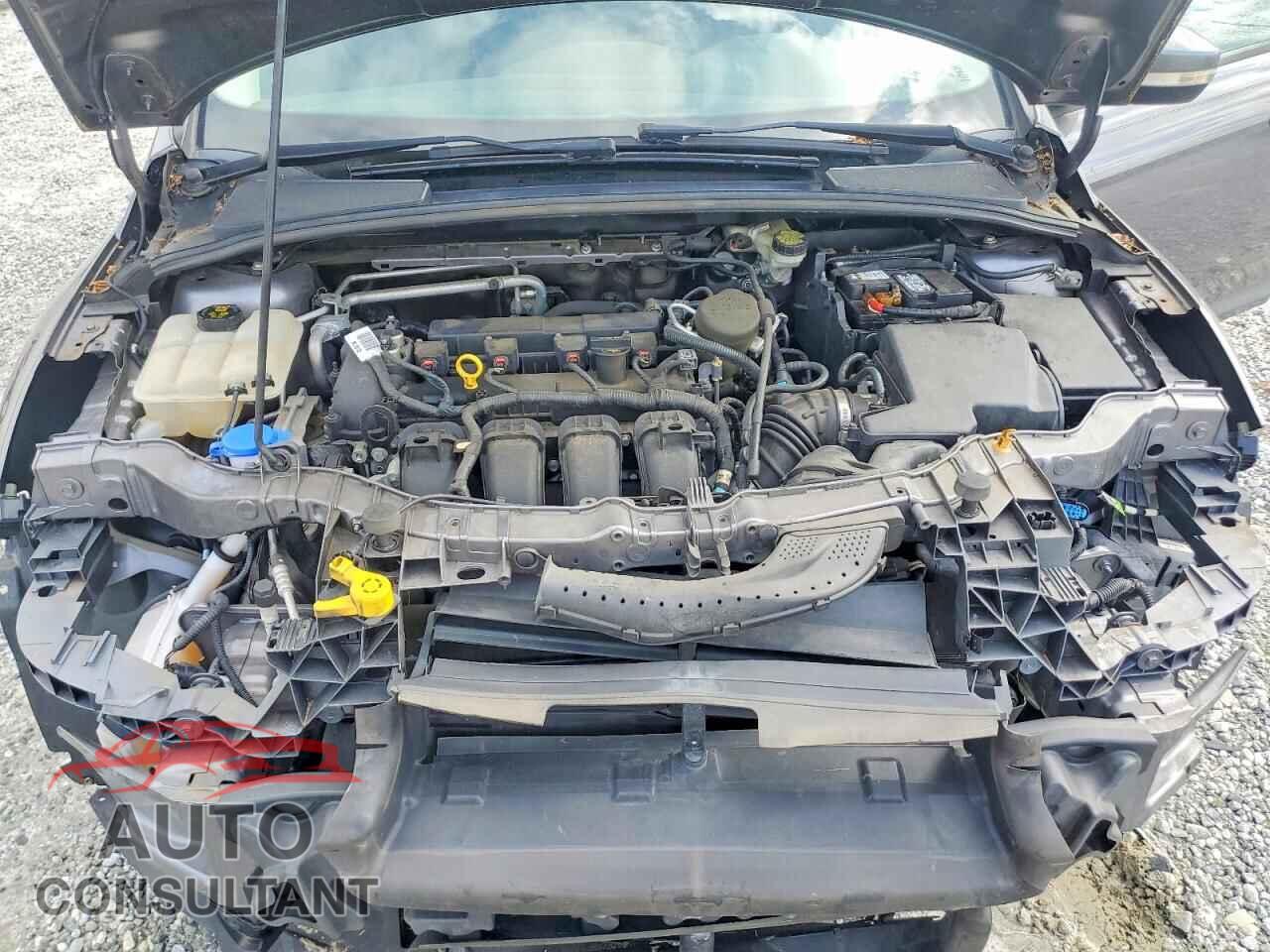 FORD FOCUS 2014 - 1FADP3F25EL191496
