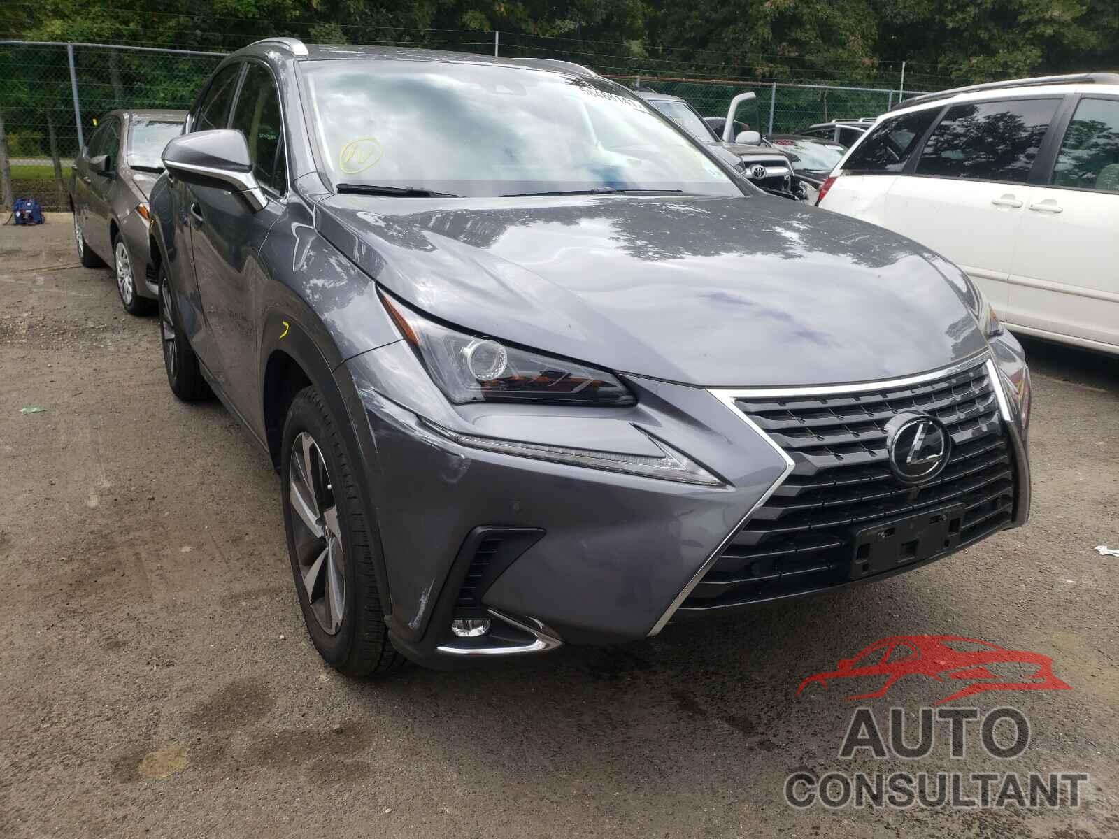 LEXUS NX 2019 - JTJBARBZ6K2209995