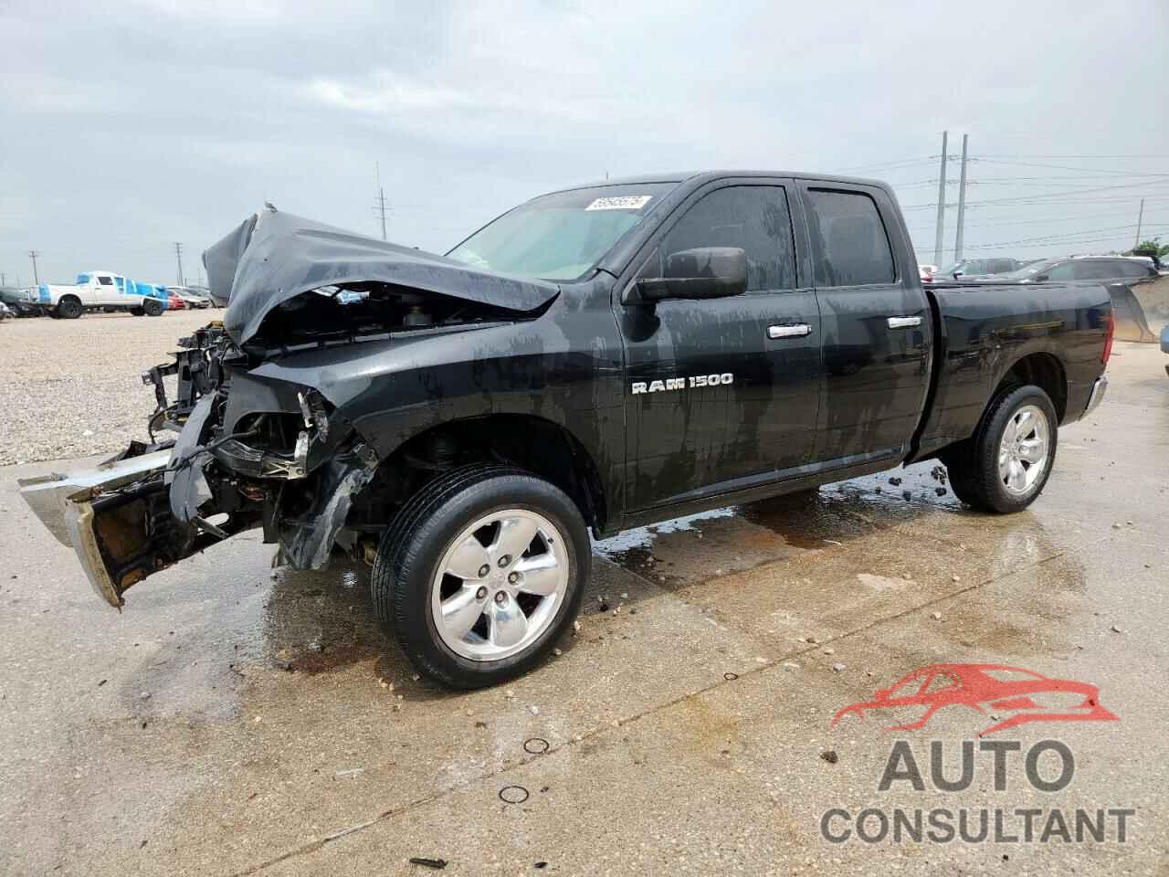 DODGE All Models 2011 - 1D7RV1GP6BS520704
