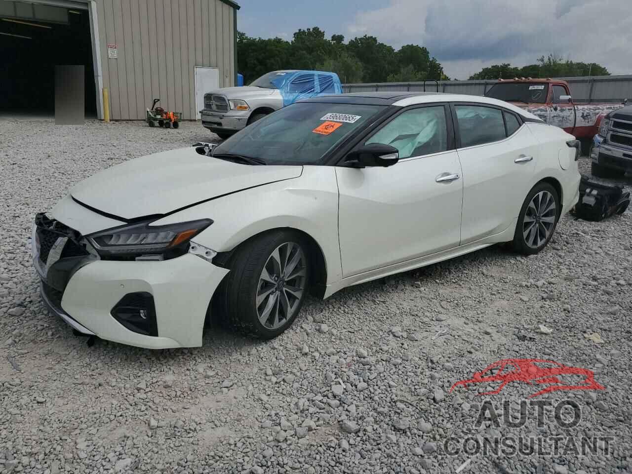 NISSAN MAXIMA 2023 - 1N4AA6FV3PC513085