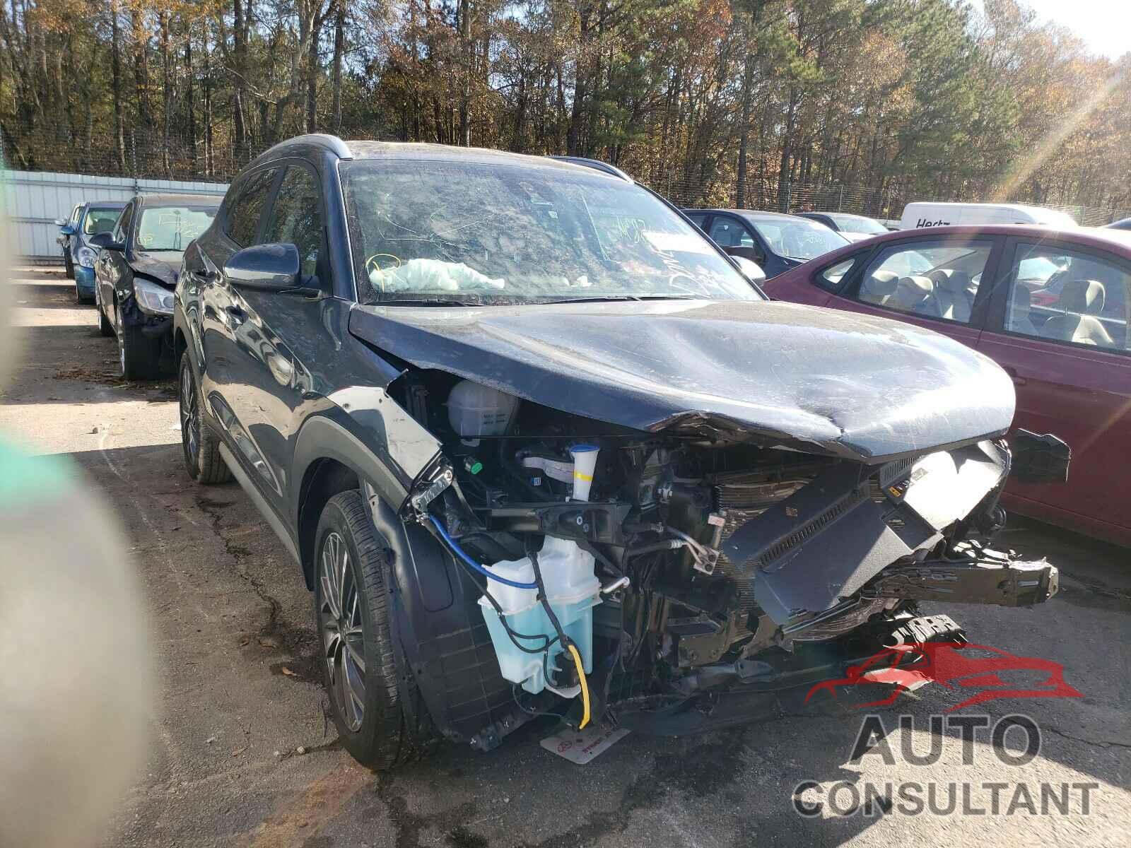 HYUNDAI TUCSON 2019 - KM8J33AL9KU877857