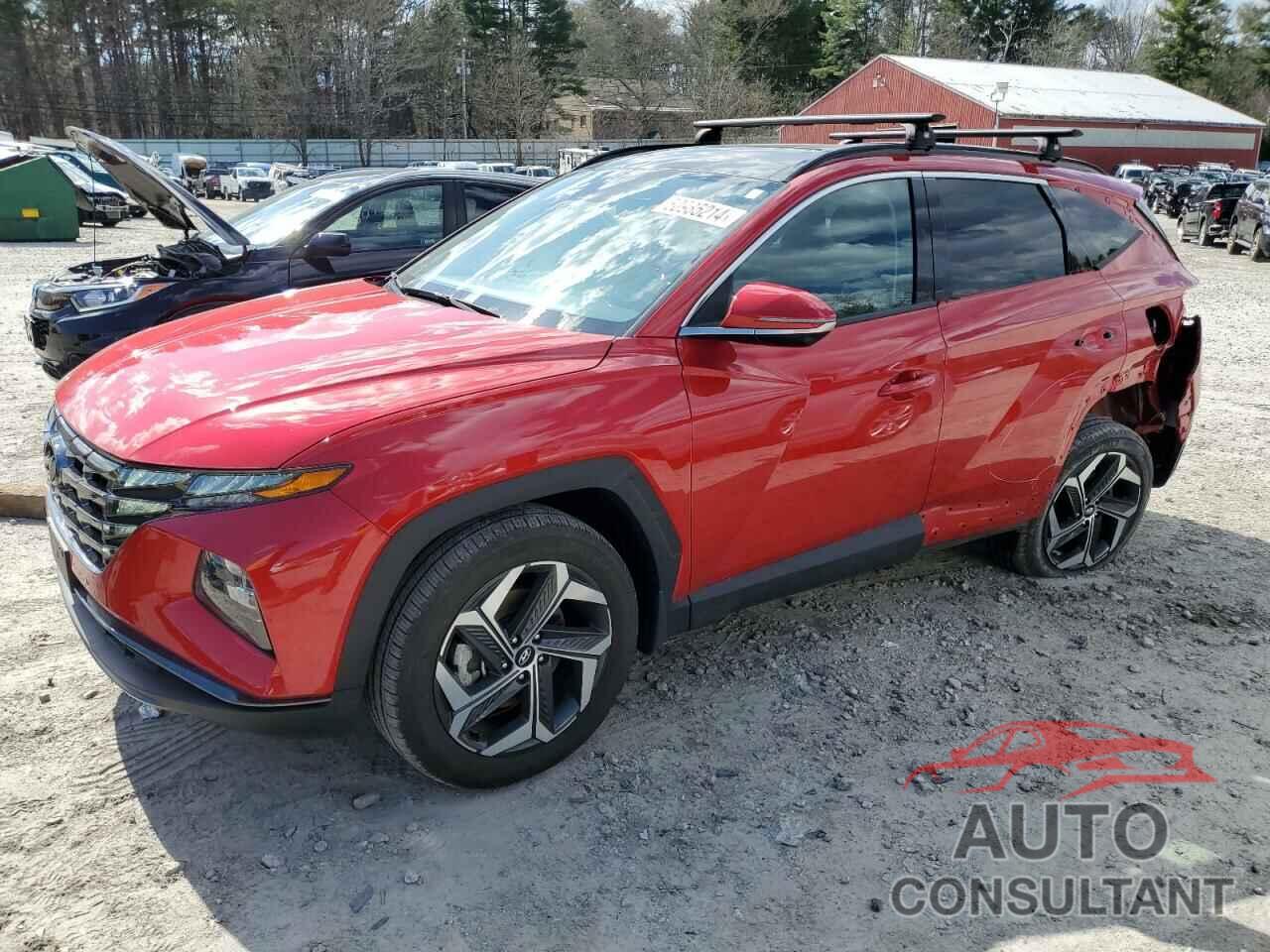 HYUNDAI TUCSON 2023 - 5NMJECAEXPH214764