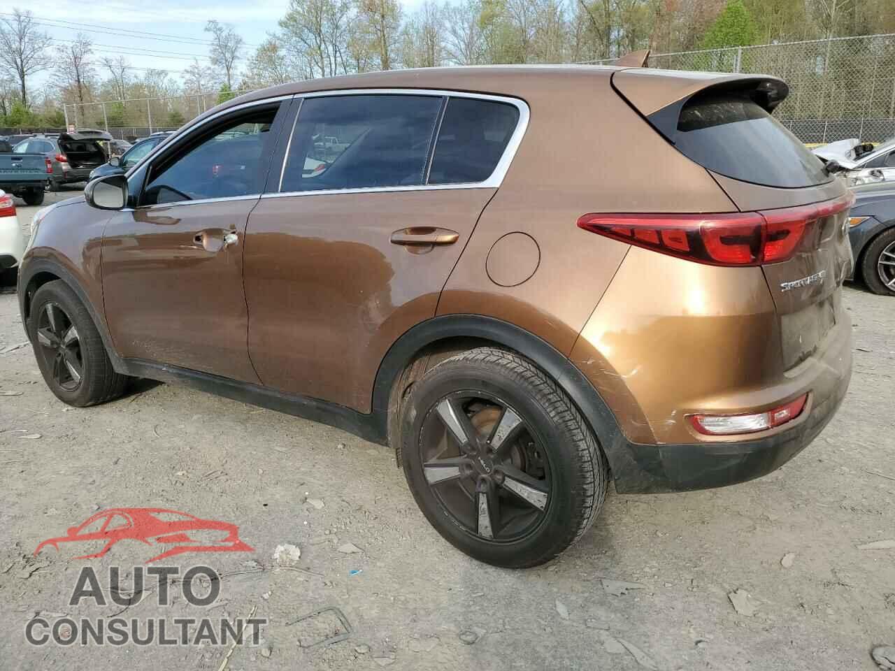 KIA SPORTAGE 2017 - KNDPM3AC8H7235679