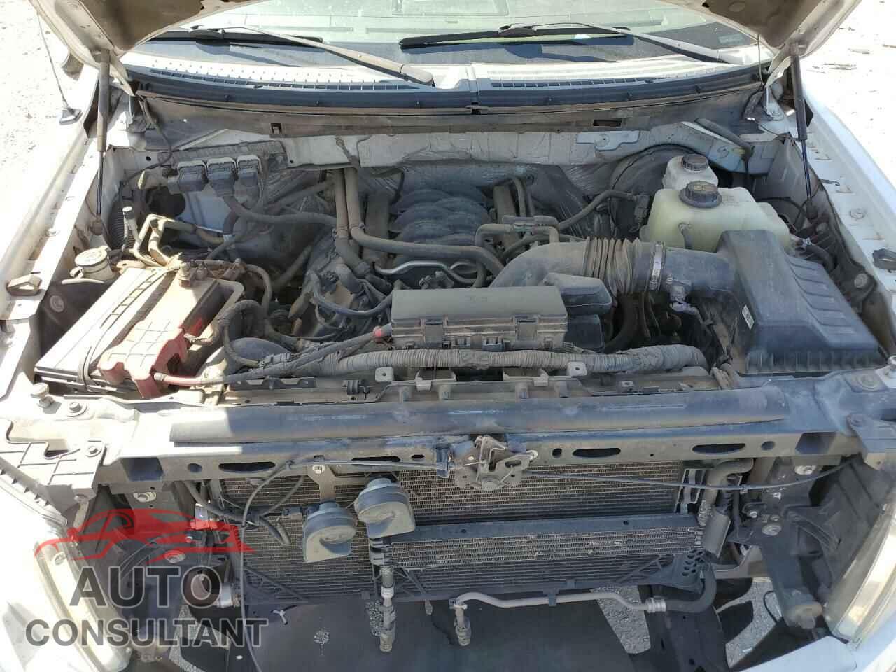 FORD F-150 2013 - 1FTFX1CF3DKE75597