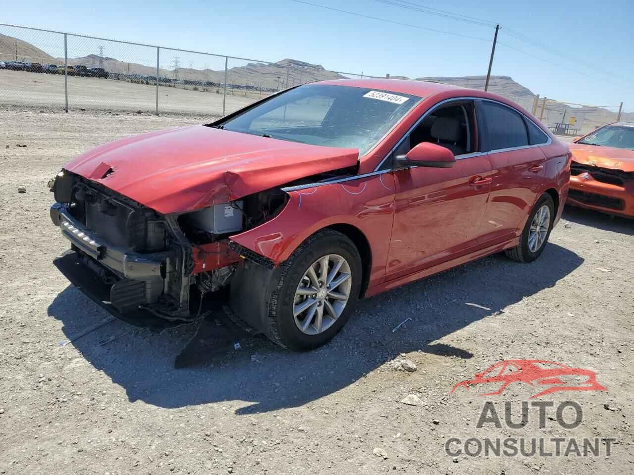 HYUNDAI SONATA 2019 - 5NPE24AF6KH767867