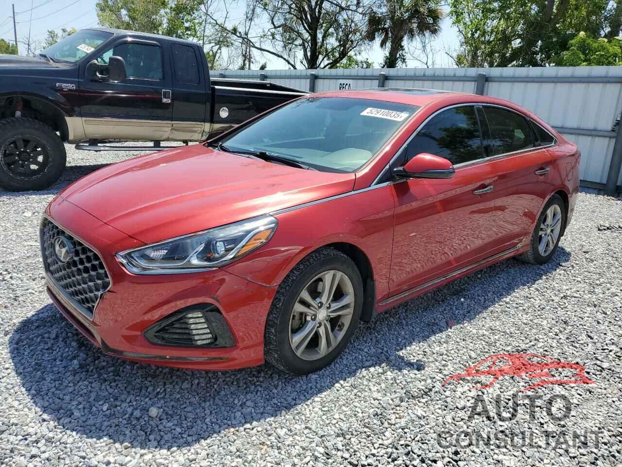 HYUNDAI SONATA 2019 - 5NPE34AF2KH736113