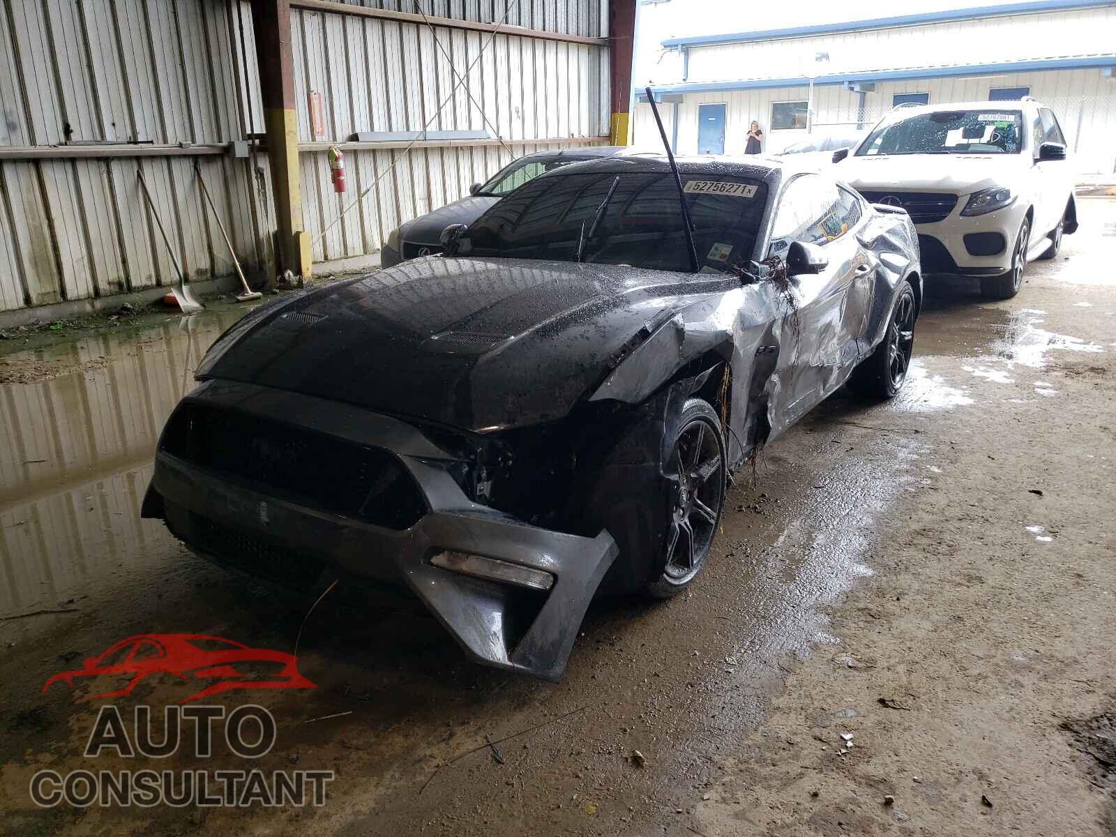 FORD MUSTANG 2019 - 1FA6P8CF2K5157464