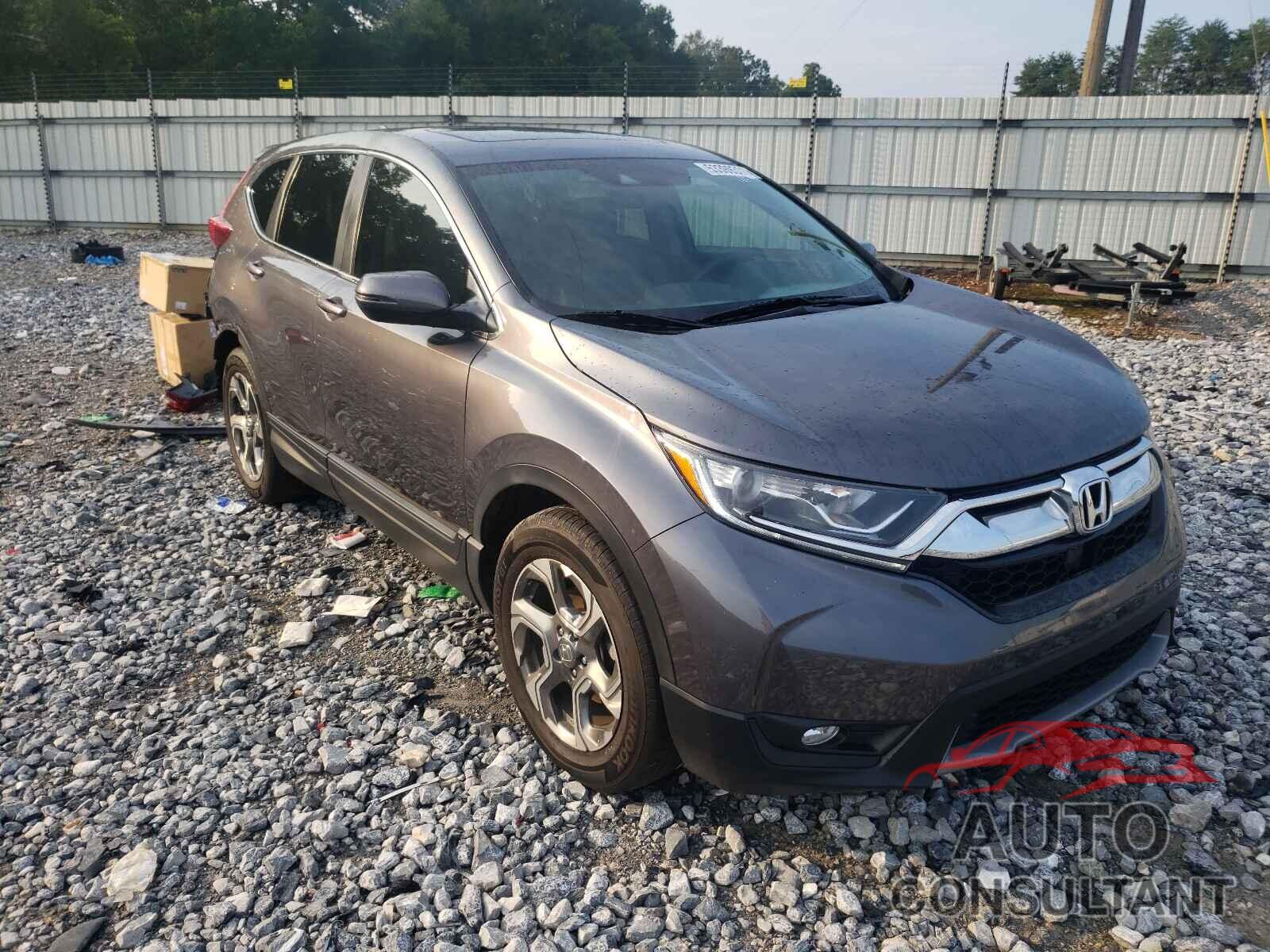 2019 CRV HONDA