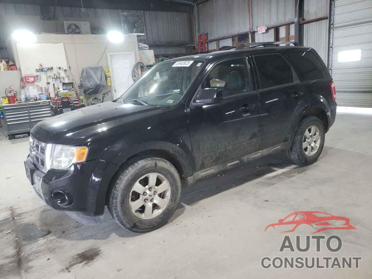 FORD ESCAPE 2010 - 1FMCU9EG4AKA73031