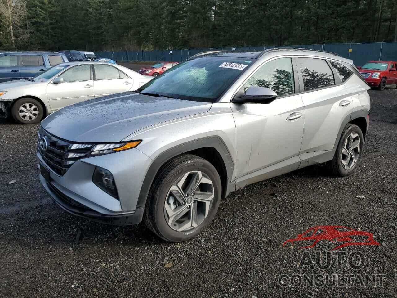 HYUNDAI TUCSON 2024 - KM8JCCD19RU191435