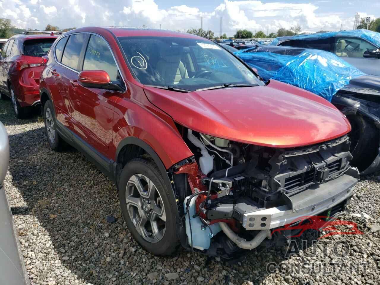 HONDA CRV 2019 - 2HKRW2H81KH645175