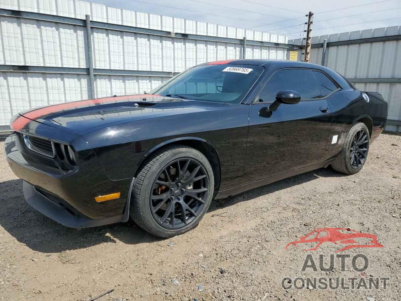 DODGE CHALLENGER 2013 - 2C3CDYAG0DH540711