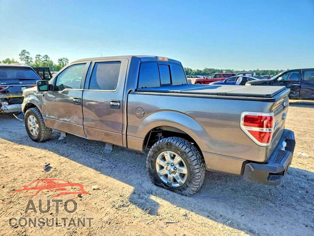 FORD F150 2014 - 1FTFW1CF3EKD37532
