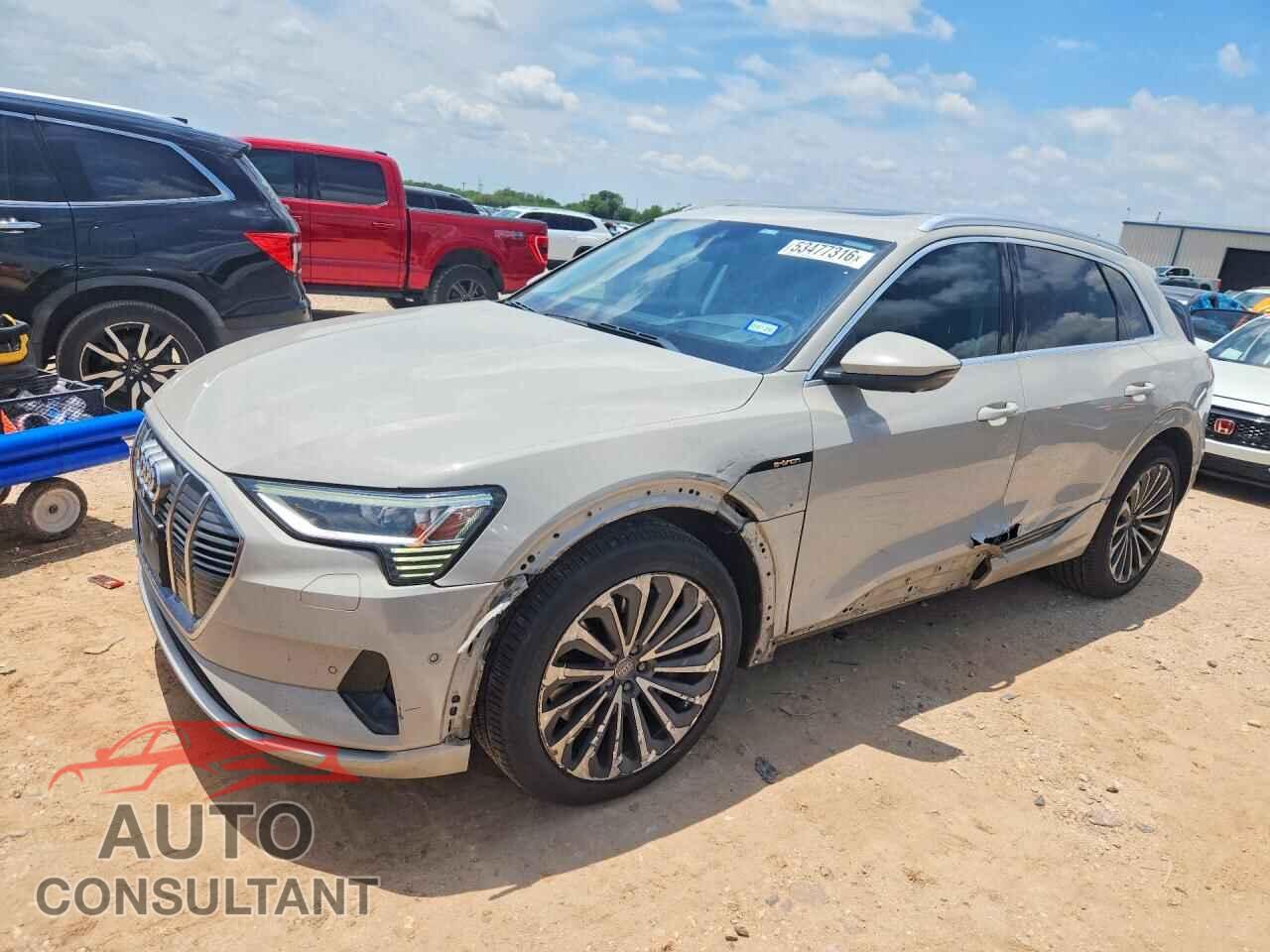 AUDI E-TRON 2019 - WA1VABGE5KB022870