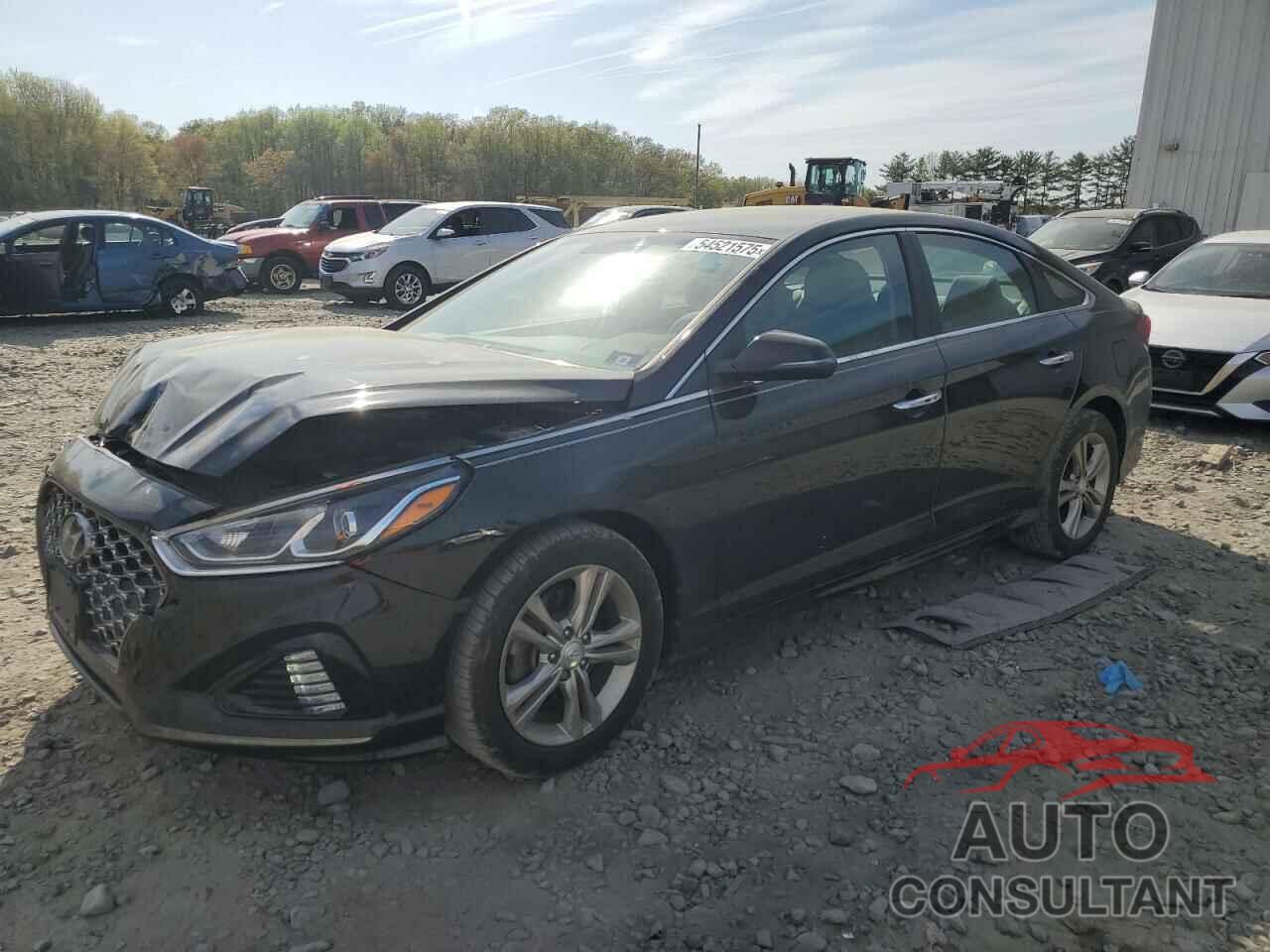 HYUNDAI SONATA 2019 - 5NPE34AF0KH761222