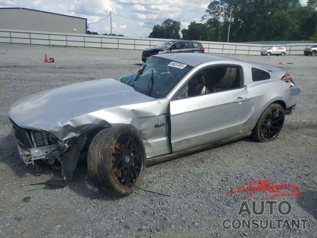 FORD MUSTANG 2011 - 1ZVBP8CF0B5103828