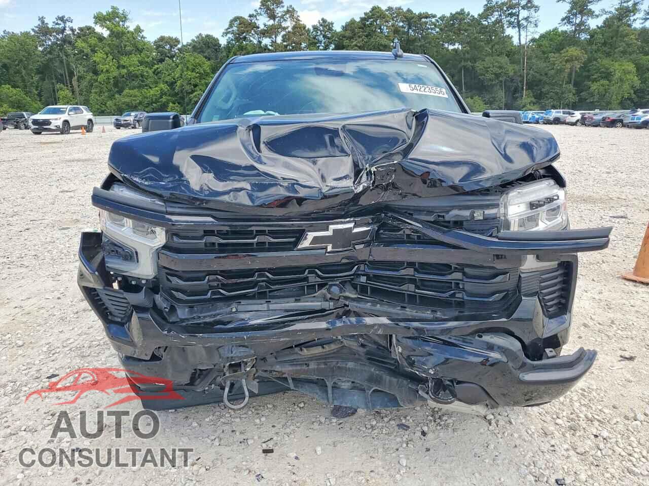CHEVROLET SILVERADO 2024 - 2GCUDEED2R1159635