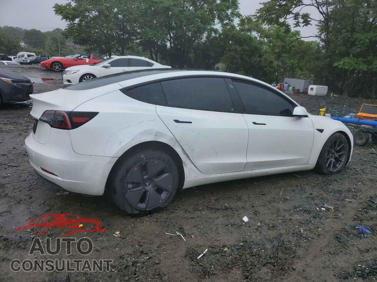 TESLA MODEL 3 2025 - 5YJ3E1EA5PF609845