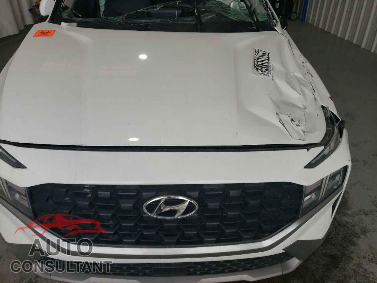 HYUNDAI SANTA FE 2023 - 5NMS14AJ9PH572246