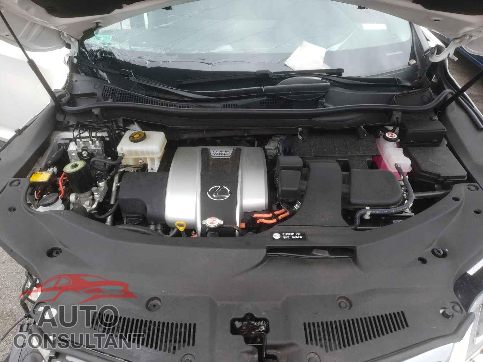 LEXUS RX450 2019 - 2T2BGMCA8KC030965