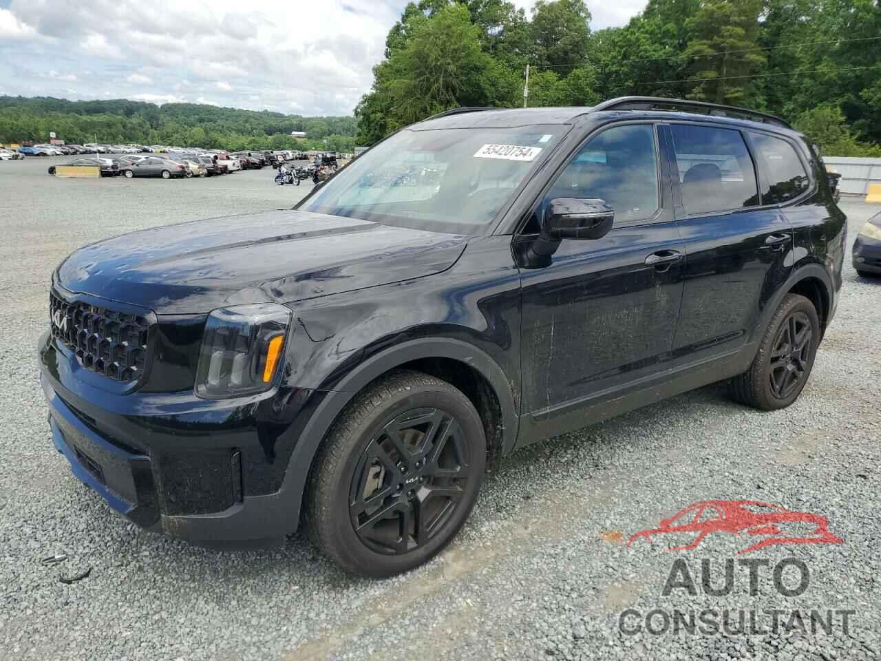 KIA TELLURIDE 2024 - 5XYP3DGC6RG446545