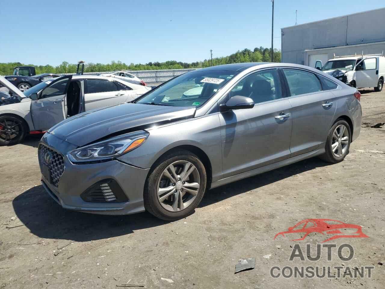 HYUNDAI SONATA 2019 - 5NPE34AF2KH775414