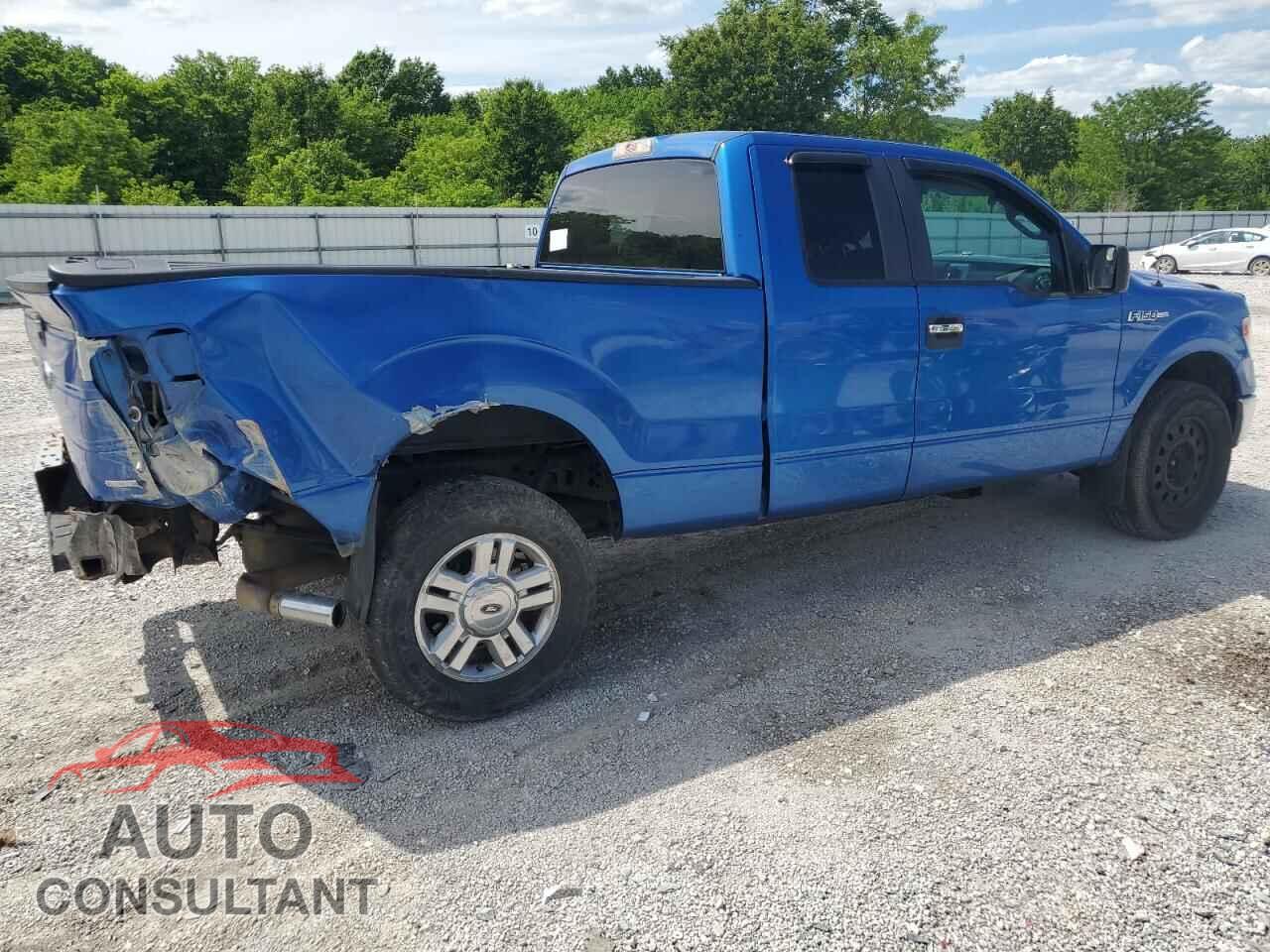 FORD F-150 2013 - 1FTFX1EF5DFD43883
