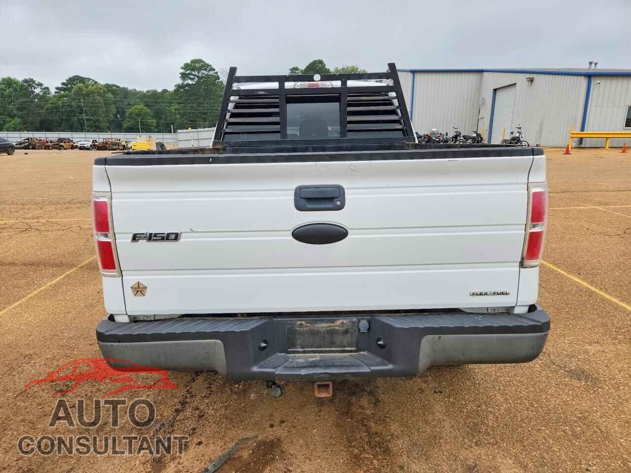 FORD F150 2011 - 1FTFX1EF5BFB46399