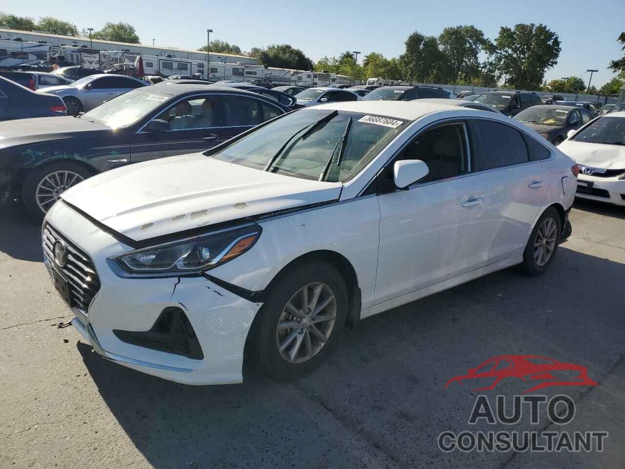 HYUNDAI SONATA 2019 - 5NPE24AF6KH800155