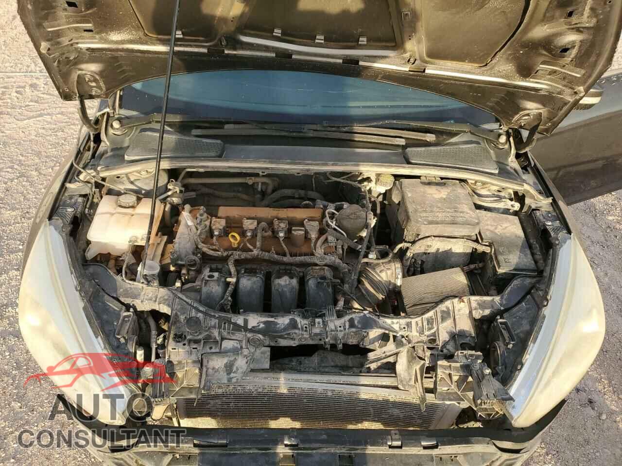 FORD FOCUS 2015 - 1FADP3F2XFL319216