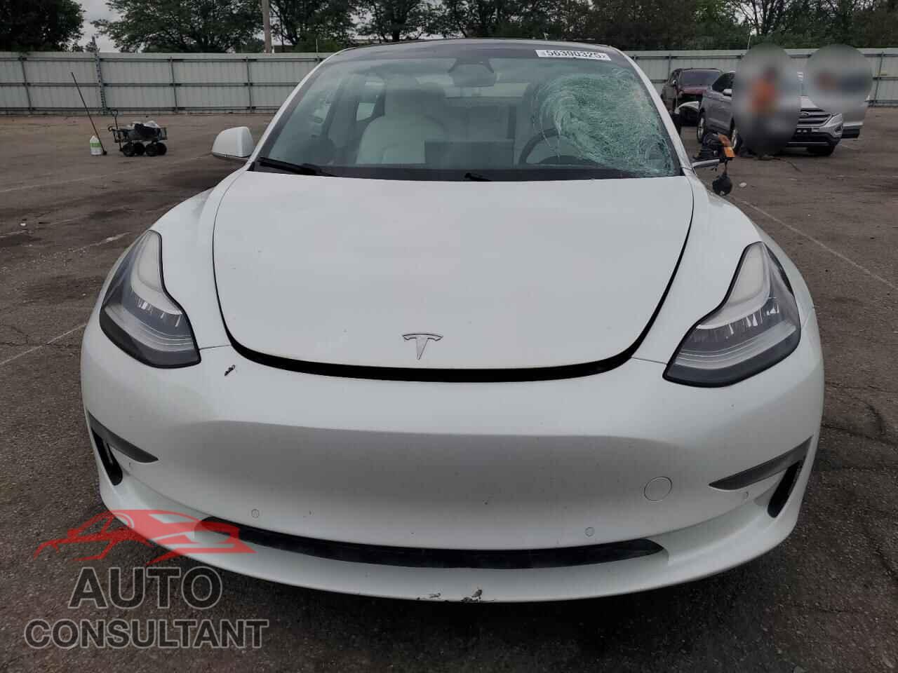 TESLA MODEL 3 2019 - 5YJ3E1EB8KF406806