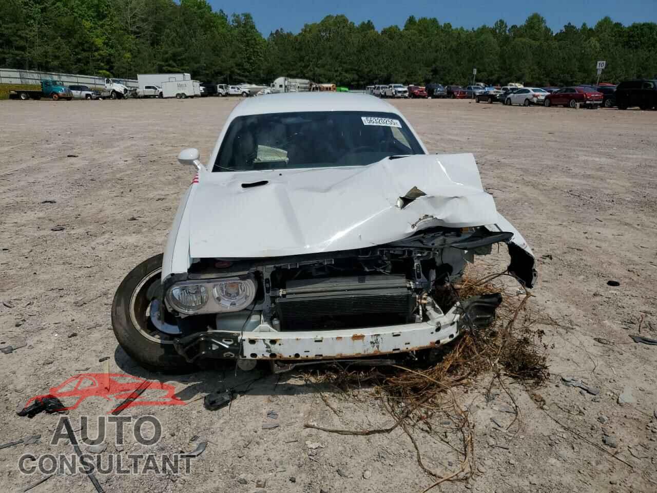 DODGE CHALLENGER 2013 - 2C3CDYAG2DH628000