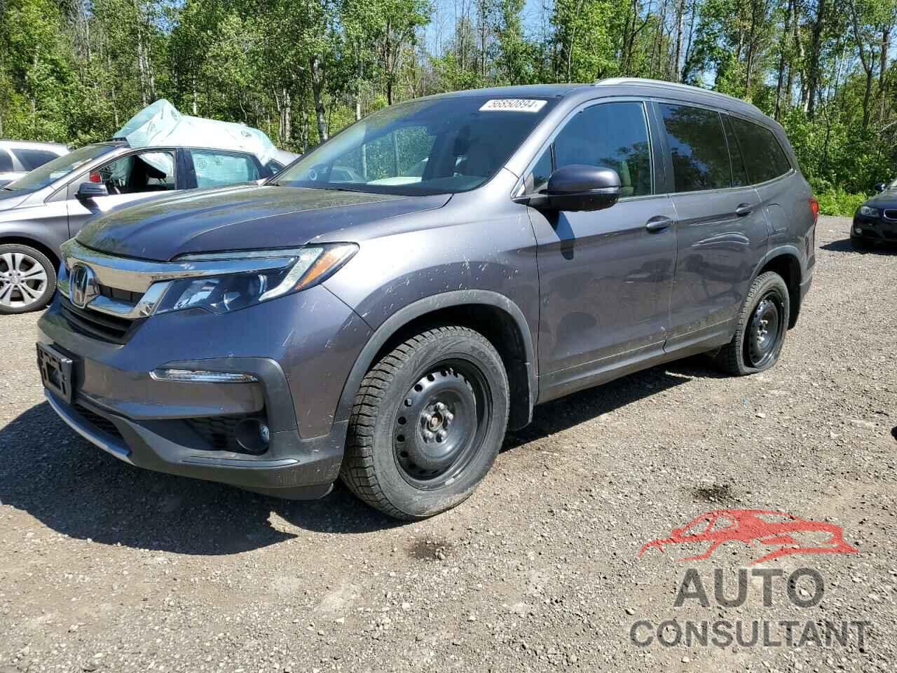 HONDA PILOT 2019 - 5FNYF6H76KB507804