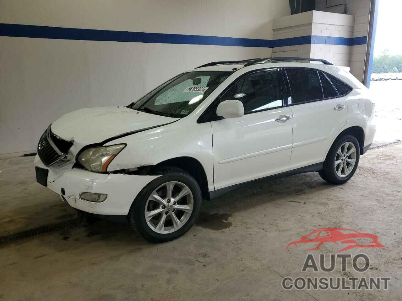 LEXUS RX350 2009 - 2T2GK31U89C057427