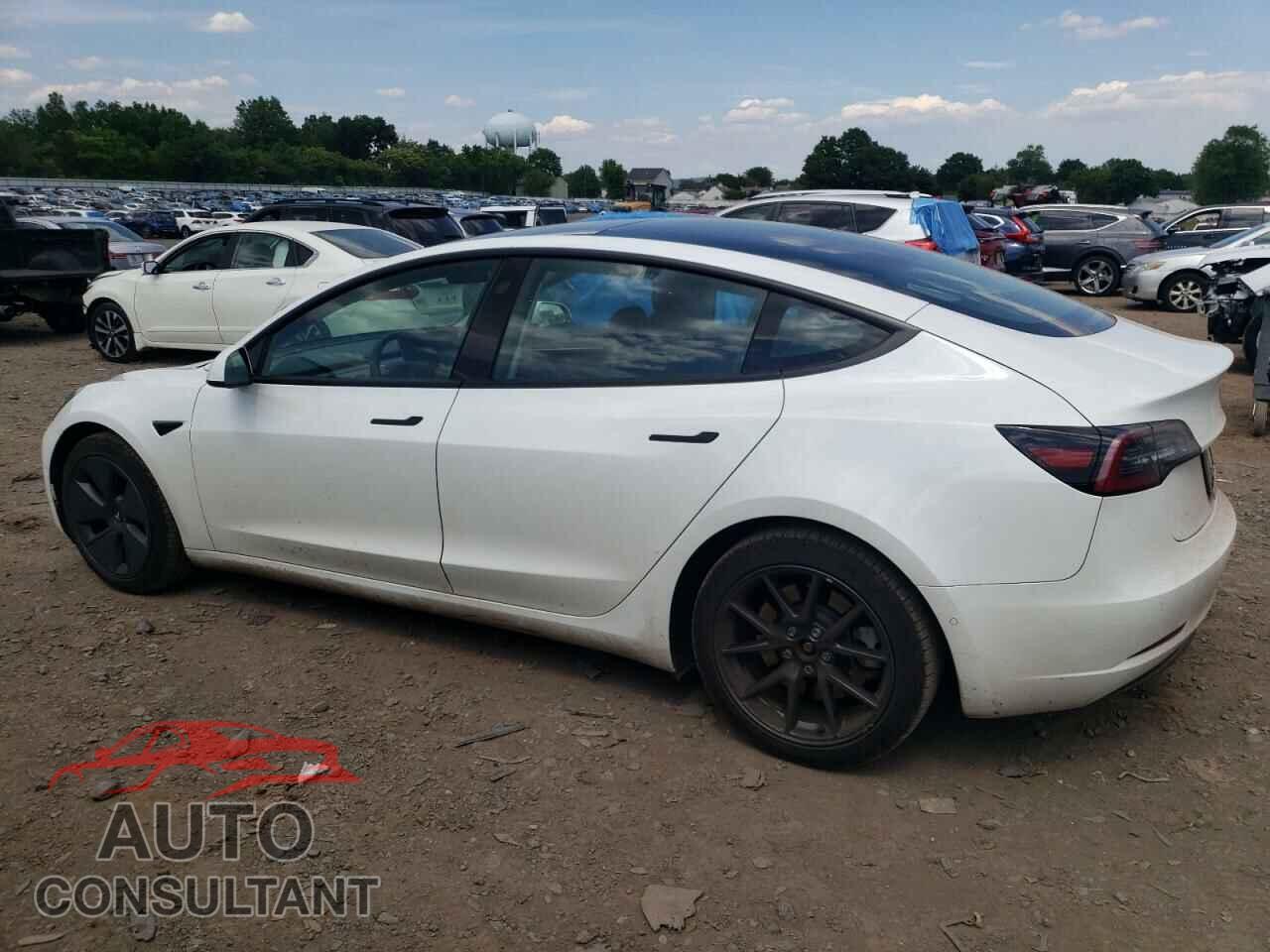 TESLA MODEL 3 2021 - 5YJ3E1EA1MF098873