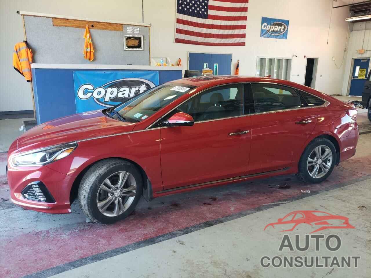 HYUNDAI SONATA 2019 - 5NPE34AF5KH810382