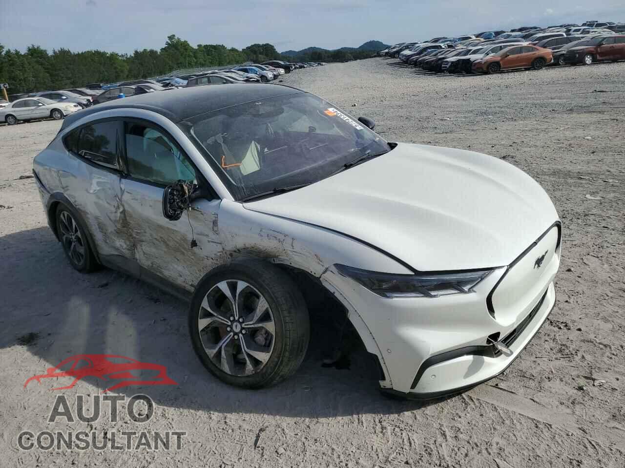 FORD MUSTANG 2021 - 3FMTK3SU9MMA00960
