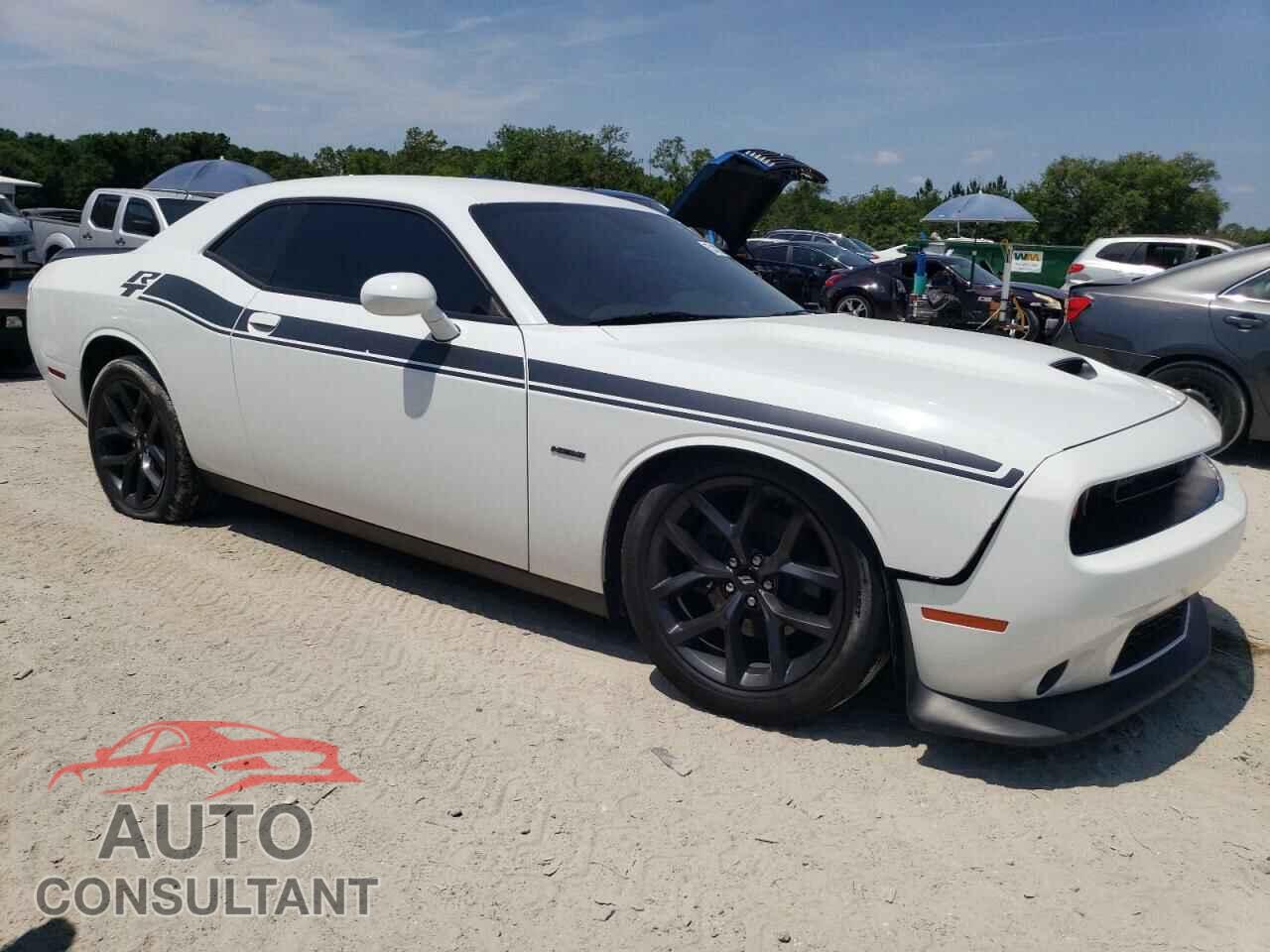 DODGE CHALLENGER 2019 - 2C3CDZBT6KH694886