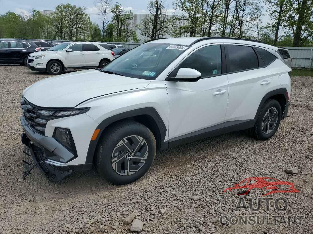 HYUNDAI TUCSON 2025 - KM8JBDD16SU265991