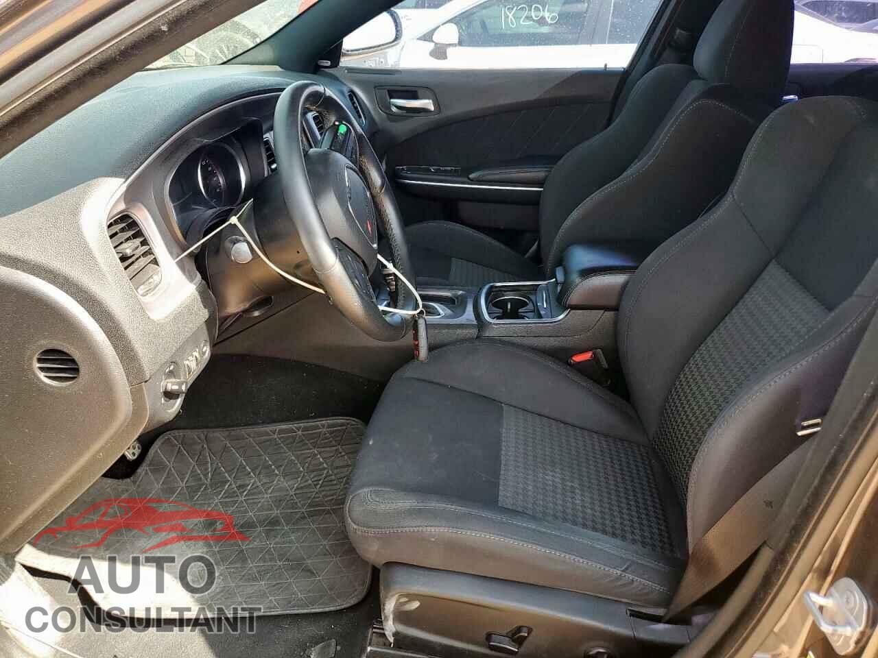 DODGE CHARGER 2019 - 2C3CDXCT5KH584351