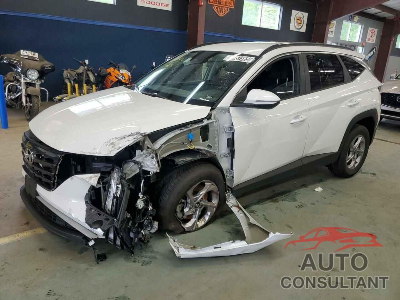 HYUNDAI TUCSON 2023 - 5NMJBCAE3PH215960